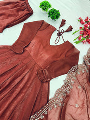 Gorgeous Fandy Silk Brown Color Gown