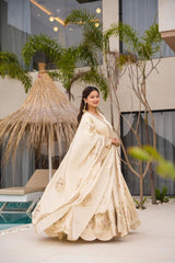 Eyes Catching Sequnce Work Cream Color Gown