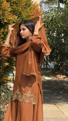 Good Looking Sequence Work Brown Color Sharara Suit