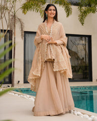 Amazing Organza Mukesh Work Beige Color Palazzo Suit