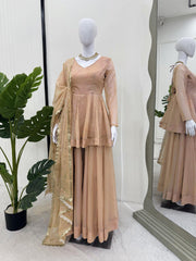 Amazing Organza Mukesh Work Beige Color Palazzo Suit