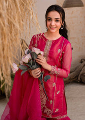 Pretty Sequence Work Pink Color Palazzo Suit