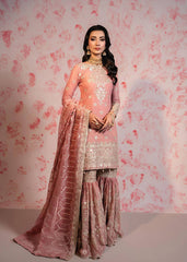 Outstanding Heavy Work Peach Color Sharara Suit