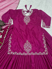 Lovely Wine Color Top With Lehenga Choli