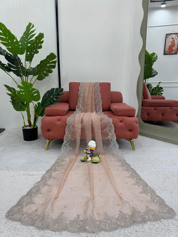 Gorgeous Organza Silk Peach Color Saree