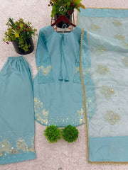 Captivating Embroidery Work Sky Blue Color Palazzo Suit