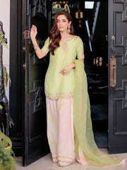 Punjabi Style Pista Color Sequence Work  Palazzo Suit
