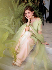 Punjabi Style Pista Color Sequence Work  Palazzo Suit