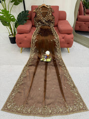 Brown Color Stunning Silk Saree