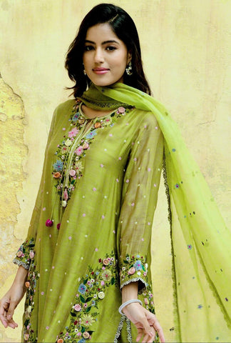 Flattering Green Color Sequence Work Punjabi Suit