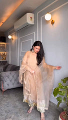 Fully Stitched Peach Color Georgette Long Gown