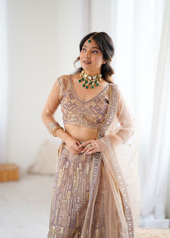 Gorgeous Beige Net Embroidery Work Lehenga Choli