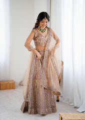Gorgeous Beige Net Embroidery Work Lehenga Choli