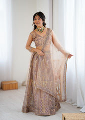 Gorgeous Beige Net Embroidery Work Lehenga Choli