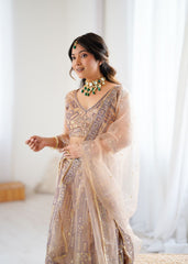 Gorgeous Beige Net Embroidery Work Lehenga Choli