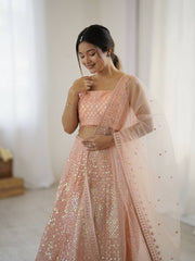 Trendy Peach Net Rainbow Work Lehenga Choli