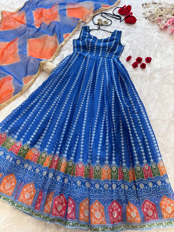 Exclusive Blue Organza Digital Work Gown
