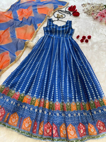 Exclusive Blue Organza Digital Work Gown