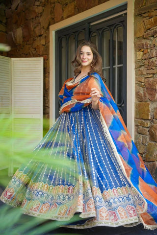 Exclusive Blue Organza Digital Work Gown