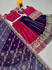 Pink Georgette Sequence Work Rajasthani Lehenga Choli