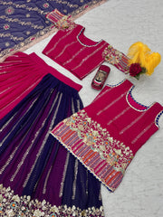 Pink Georgette Sequence Work Rajasthani Lehenga Choli