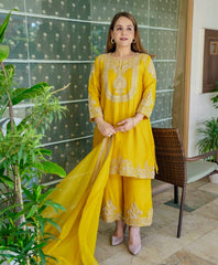 Lovely Red Chinon Silk Work Palazzo Suit