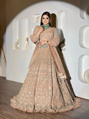 Wedding Collection Beige Color Net Embroidery Lehenga Choli