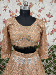 Wedding Collection Beige Color Net Embroidery Lehenga Choli