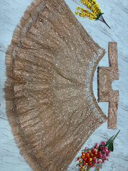 Wedding Collection Beige Color Net Embroidery Lehenga Choli