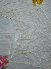 Trendy White Net with Sequins Work Saree