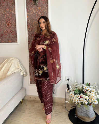 Stylish Maroon Velvet Sequence Work Farshi Salwar