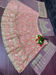 Pretty Peach Net With Embroidery Work Lehenga Choli