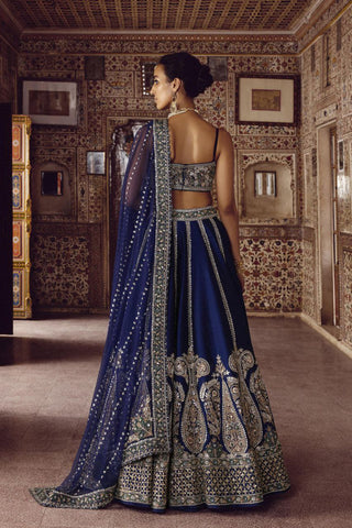 Daisy Blue Slub Silk Dori Work Lehenga Choli