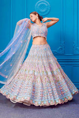 Daisy Blue Net Embroidery Work Lehenga Choli