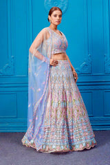 Daisy Blue Net Embroidery Work Lehenga Choli