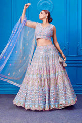 Daisy Blue Net Embroidery Work Lehenga Choli