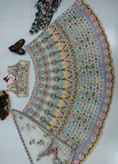 Daisy Blue Net Embroidery Work Lehenga Choli
