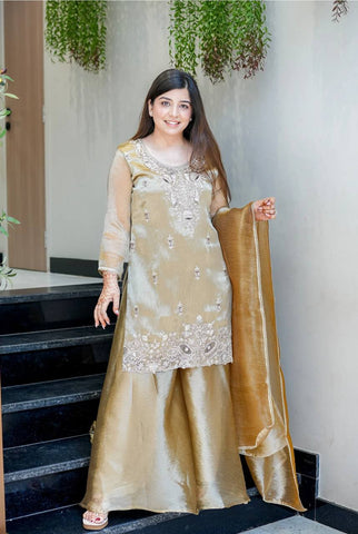 Innovative Pink Silk With Embroidery Work Sharara Suit