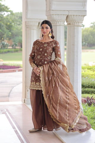 Lovely Fendy with Rich Sequins Embroidered work Sharara Suit