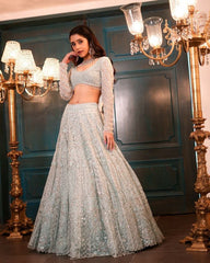 Daisy Silver Net With Embroidery Work Lehenga Choli