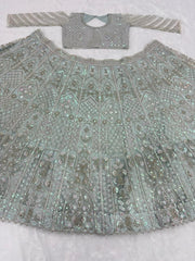 Daisy Silver Net With Embroidery Work Lehenga Choli