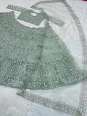 Daisy Silver Net With Embroidery Work Lehenga Choli