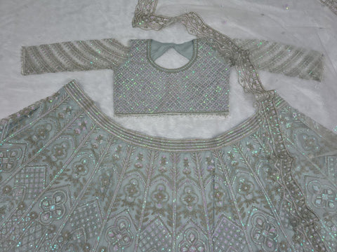 Daisy Silver Net With Embroidery Work Lehenga Choli