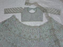 Daisy Silver Net With Embroidery Work Lehenga Choli