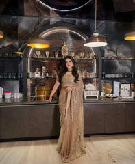 Exclusive Gold Net With Jari Work Saree