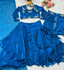 Admiring Festive Wear Embroidery Work Lengha