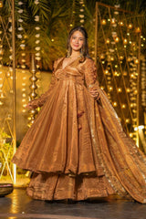 Function Wear Brown Heavy Silk Anarkali Suit