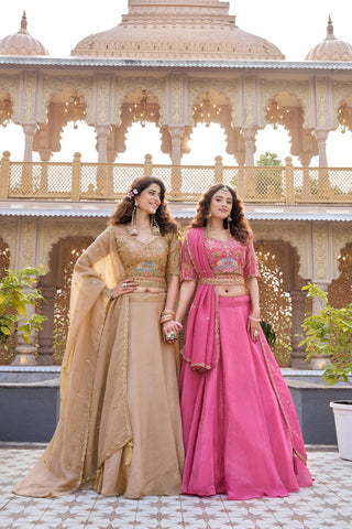 Exclusive Beige Crunchy Heavy Embroidery Lehenga
