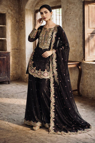 Beautiful Black Silk with Sequence Work Sharara Suit