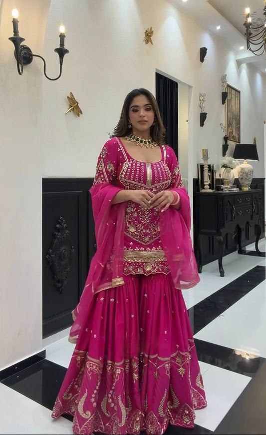 Pink Heavy Sequence Work Stunning Sharara Palazzo